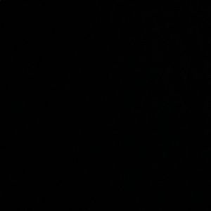 Meet your Posher, Maribel